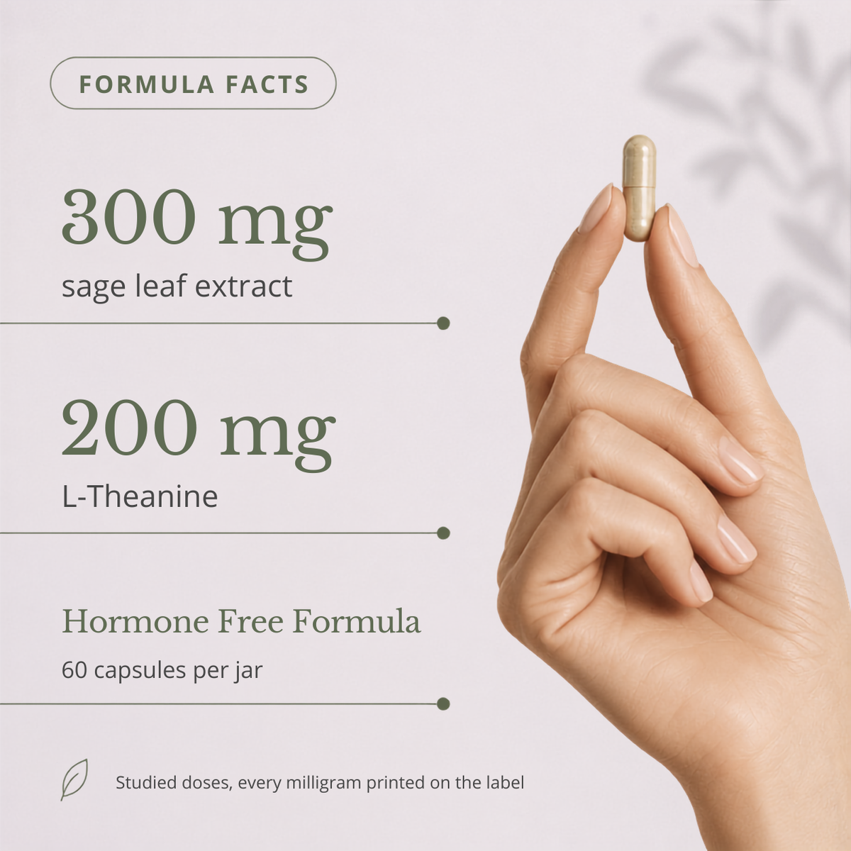 Maisy Sage Leaf Extract for Hot Flashes & Night Sweats*