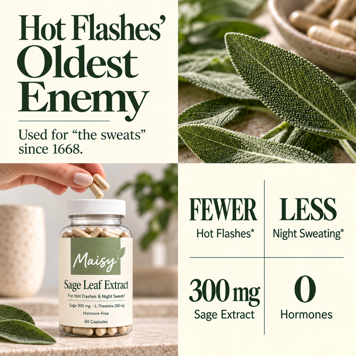 Maisy Sage Leaf Extract for Hot Flashes & Night Sweats*